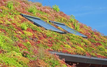Earsham living roof systems