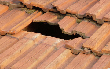 roof repair Earsham, Norfolk
